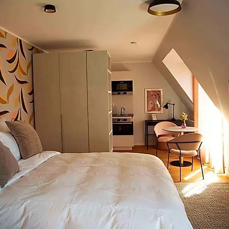 21rooms 公寓式酒店 因戈尔施塔特